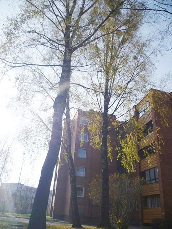 Saulys1 Apartman Druskininkai Szoba fotó