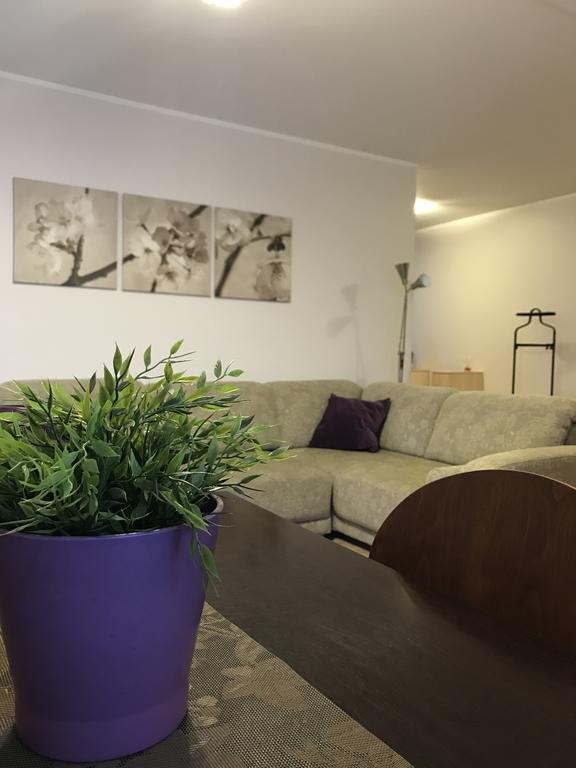 Saulys1 Apartman Druskininkai Kültér fotó